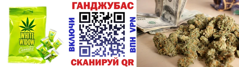 Canna-Cookies марихуана  как найти закладки  Бокситогорск 