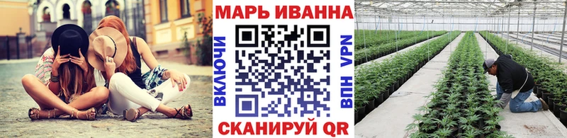 Конопля гибрид Бокситогорск
